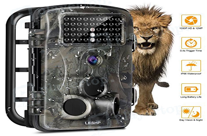 camera de surveillance de chasse